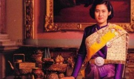 鹏哥爆料盈公主的视频旅游团,盈公主视频旅游团背后的精彩故事